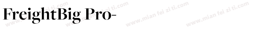 FreightBig Pro字体转换